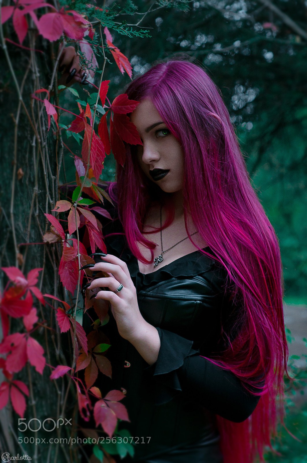 Nikon D90 sample photo. The witch photography