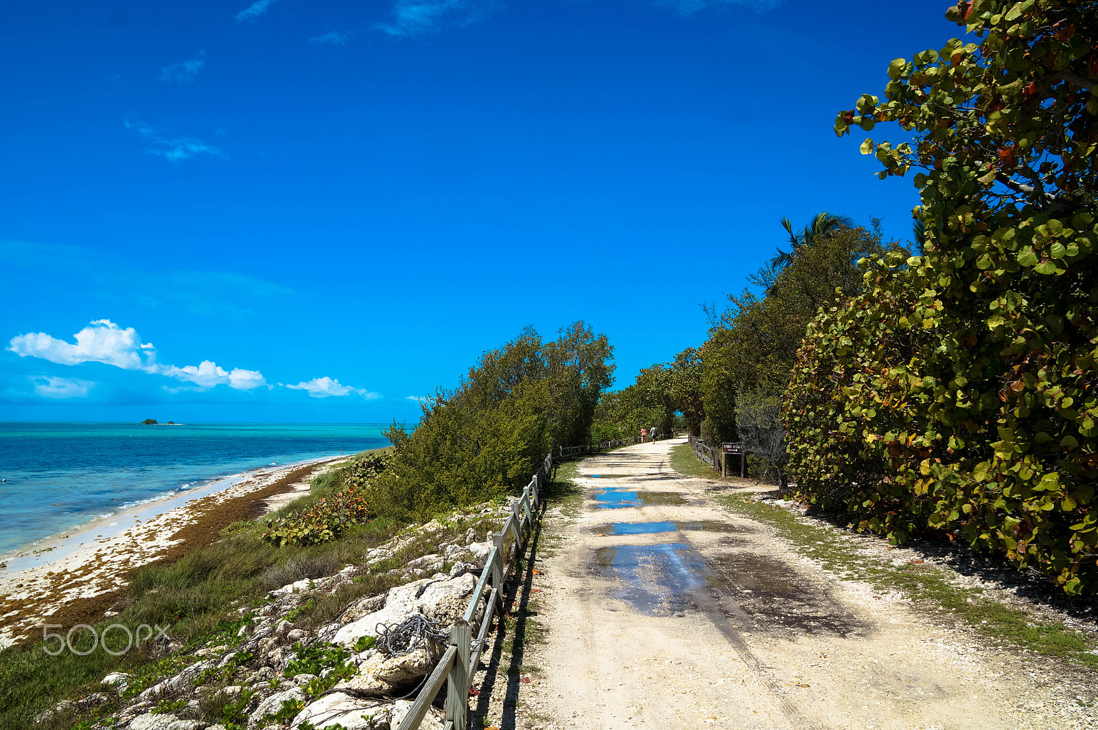 Sony Alpha NEX-5T sample photo. A road to key west. photography