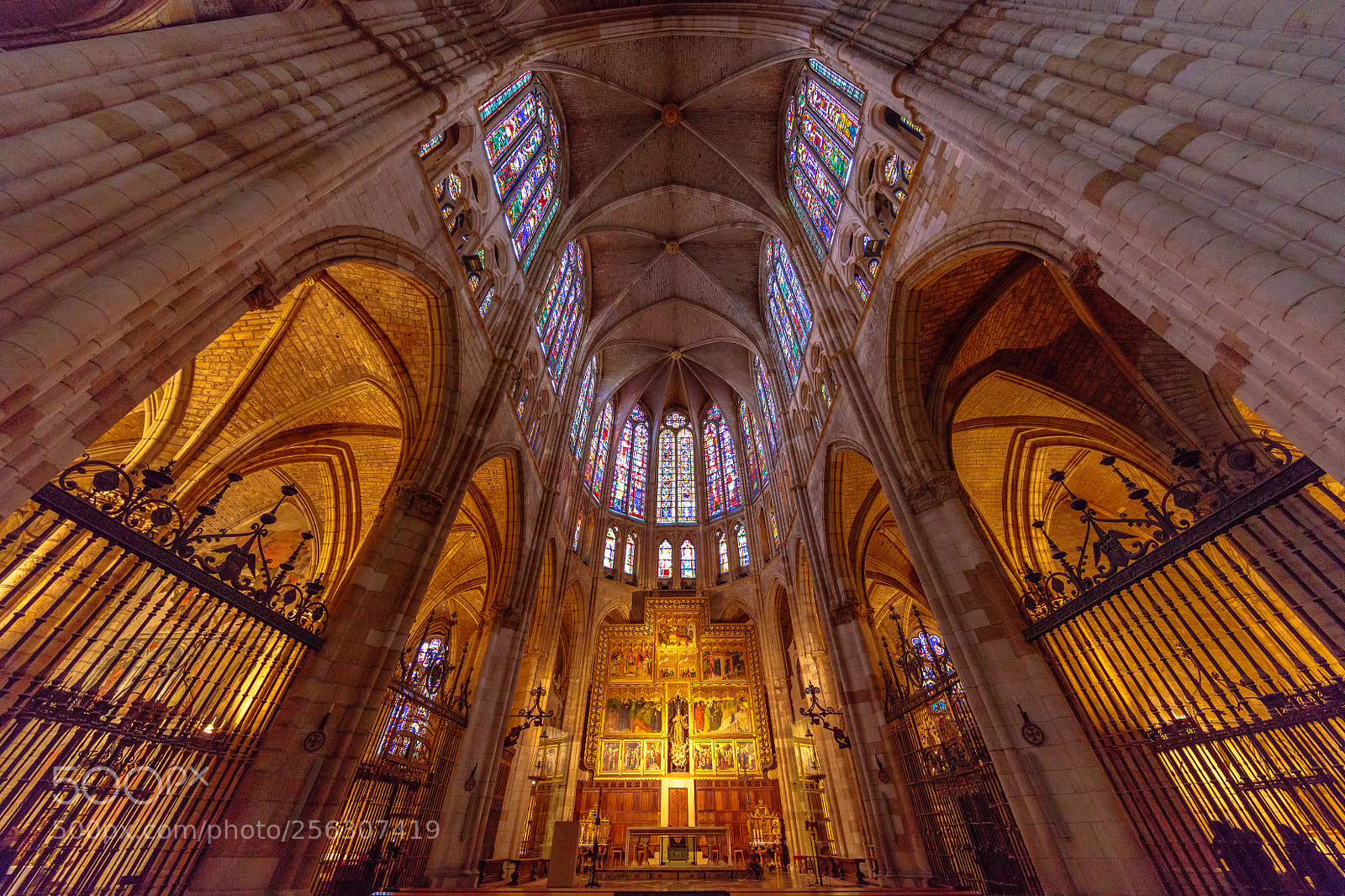 Canon EOS 5DS R sample photo. Catedral de león photography