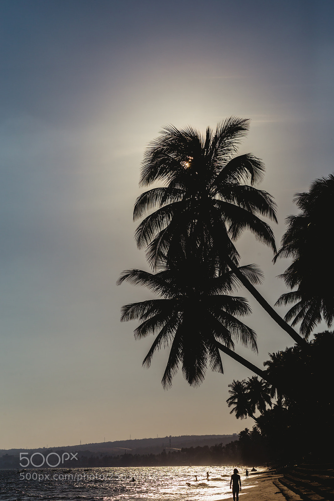 Canon EOS 6D sample photo. Coconut trees stretch into photography