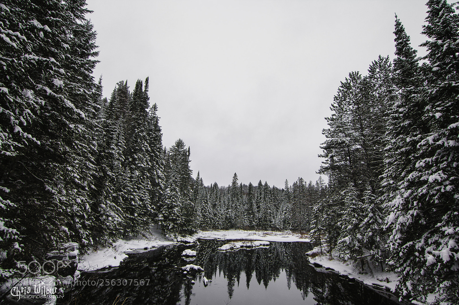 Canon EOS 60D sample photo. Catatonic winter day photography