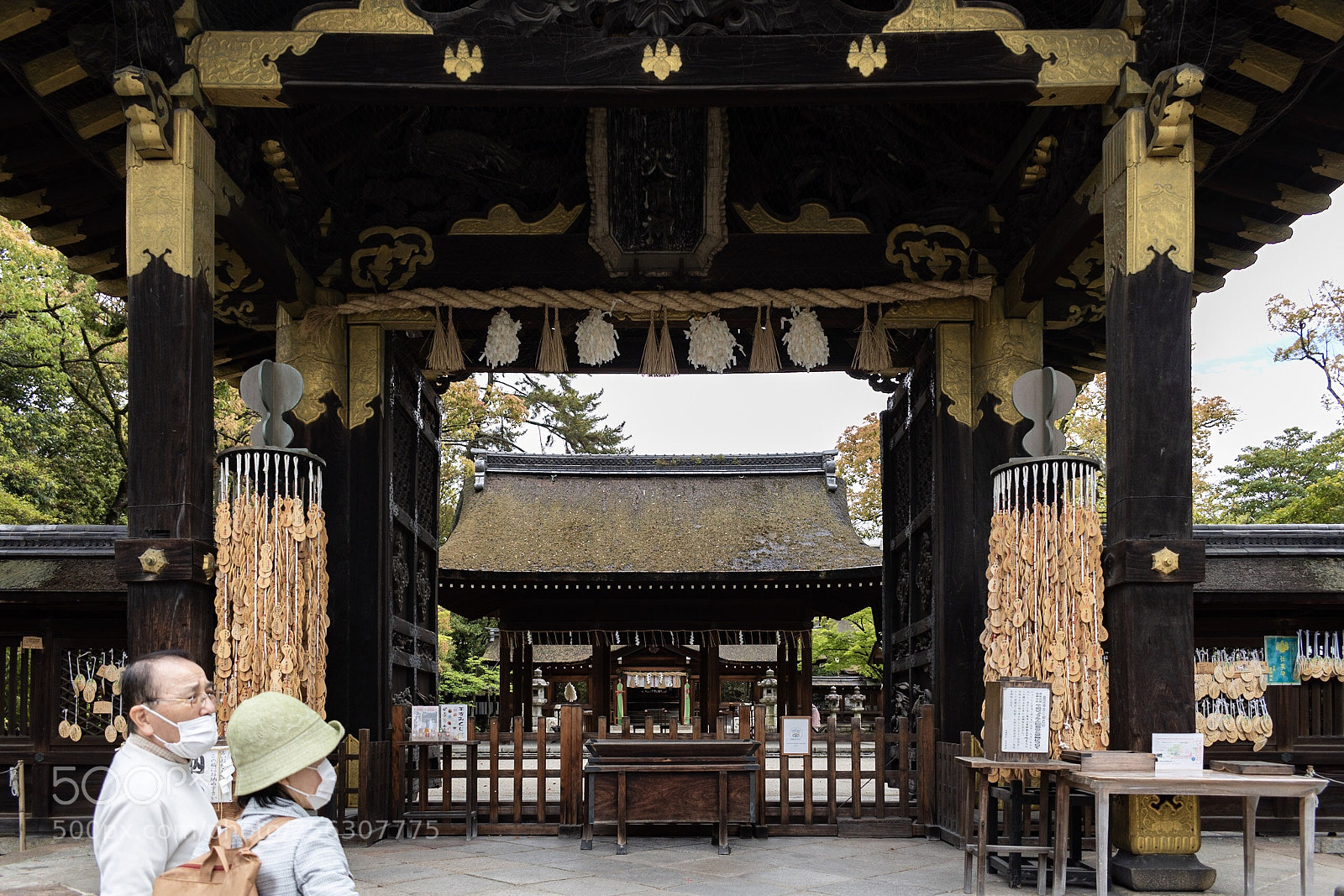 Nikon D5600 sample photo. Kyoto photography