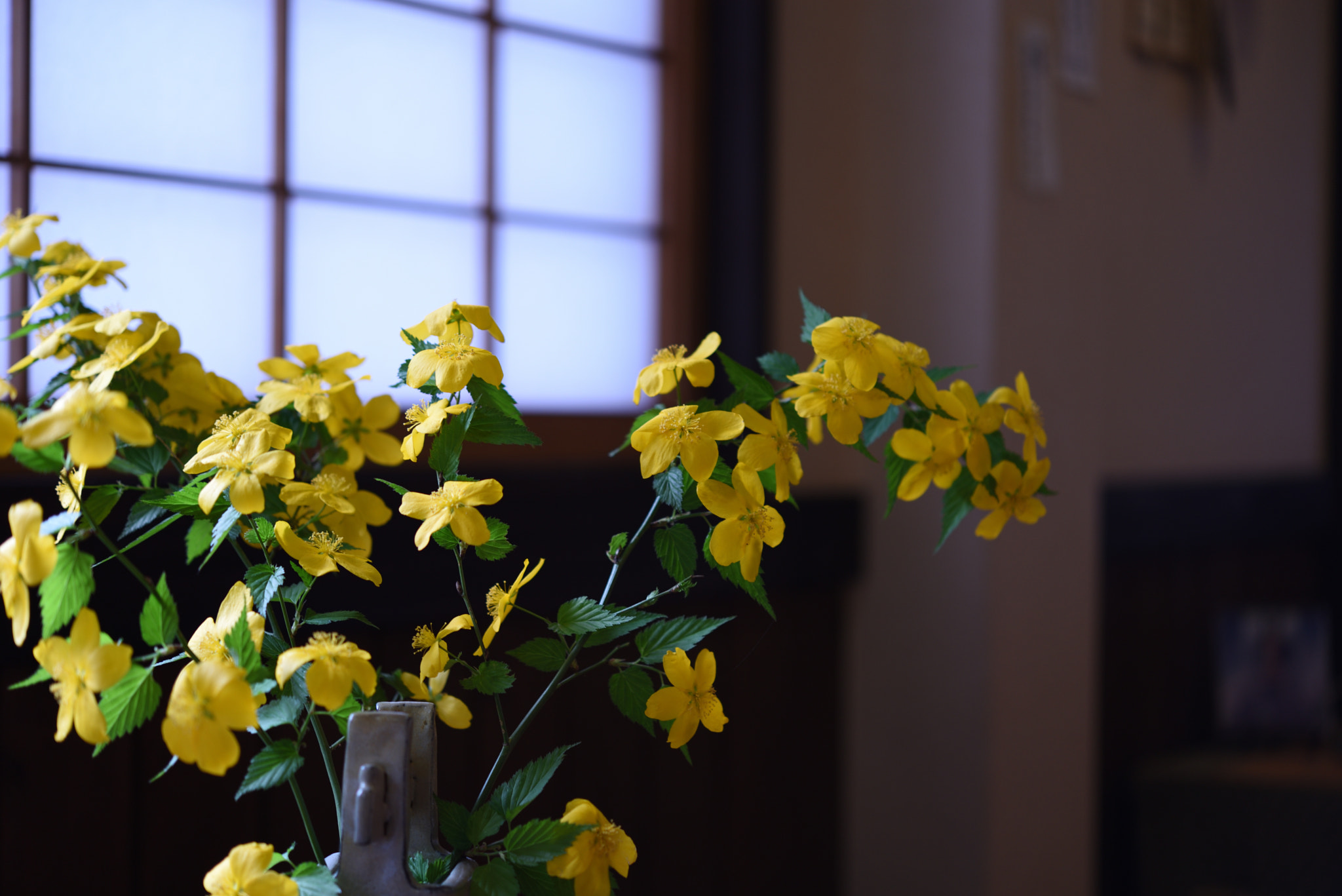 Nikon AF-S Micro-Nikkor 60mm F2.8G ED sample photo. ヤマブキ 五箇山菅沼合掌造り集落 (2) photography