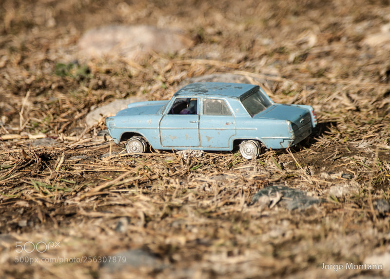 Nikon D90 sample photo. Willys photography
