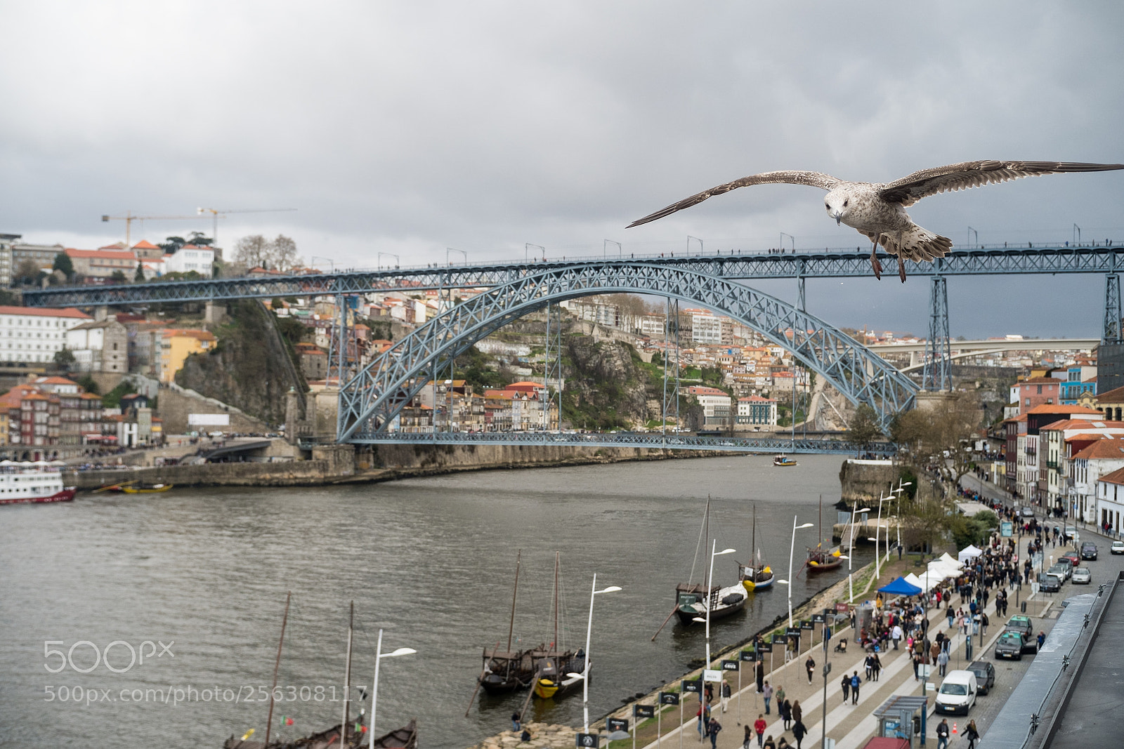 Fujifilm X-E1 sample photo. Ponte d.luis photography