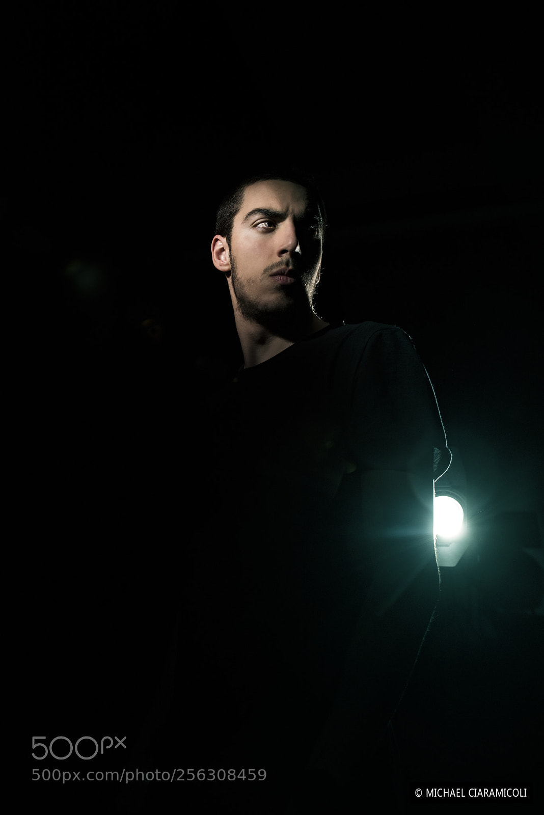 Nikon D810 sample photo. Marco photography