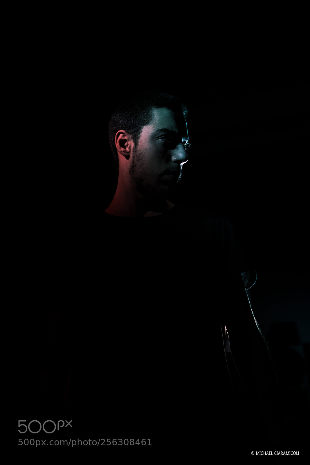 Nikon D810 sample photo. Marco photography