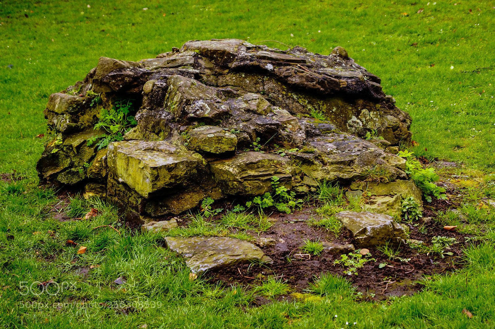 Sony SLT-A58 sample photo. Stone photography