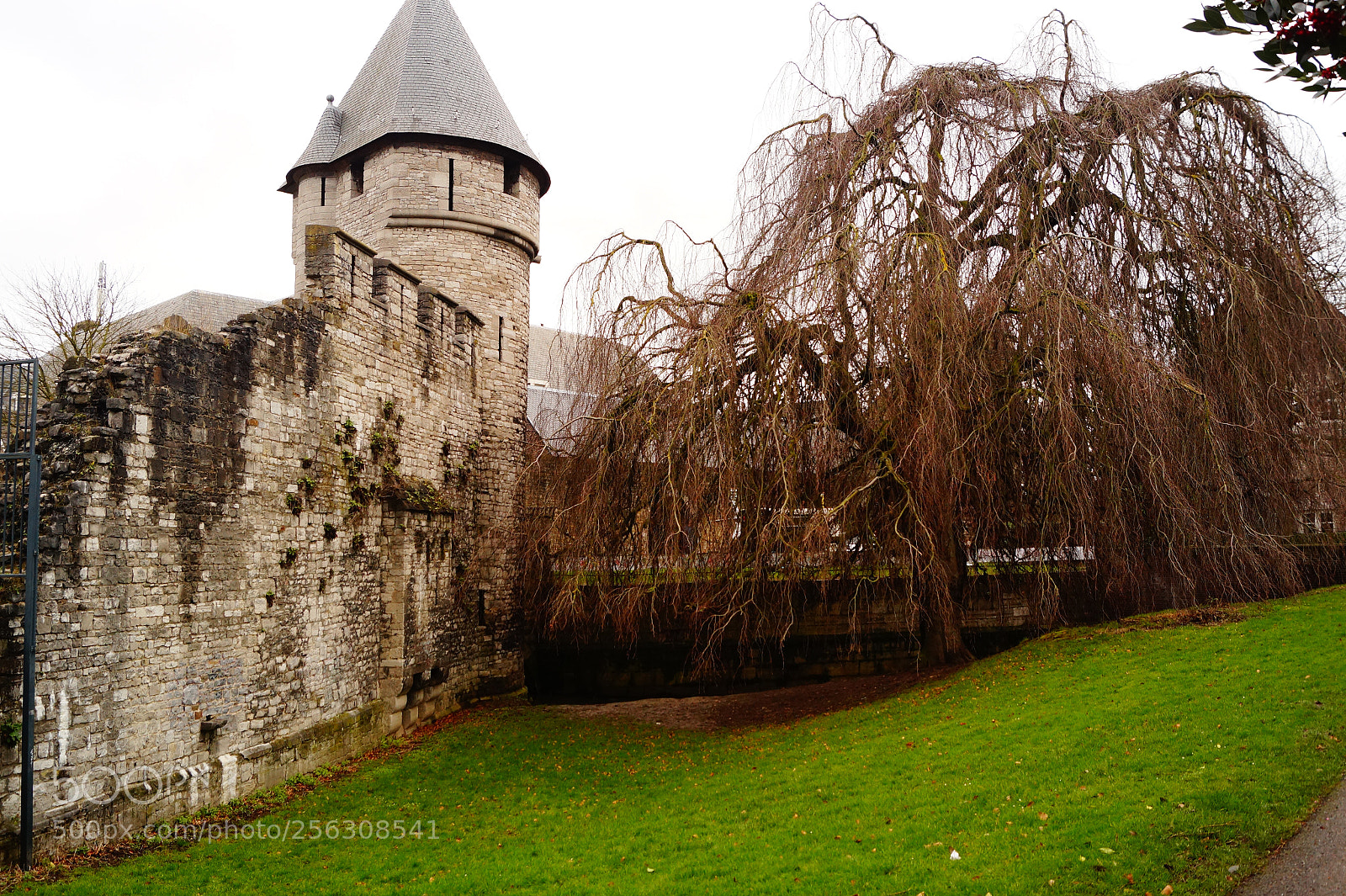 Sony SLT-A58 sample photo. A castle in maastricht photography