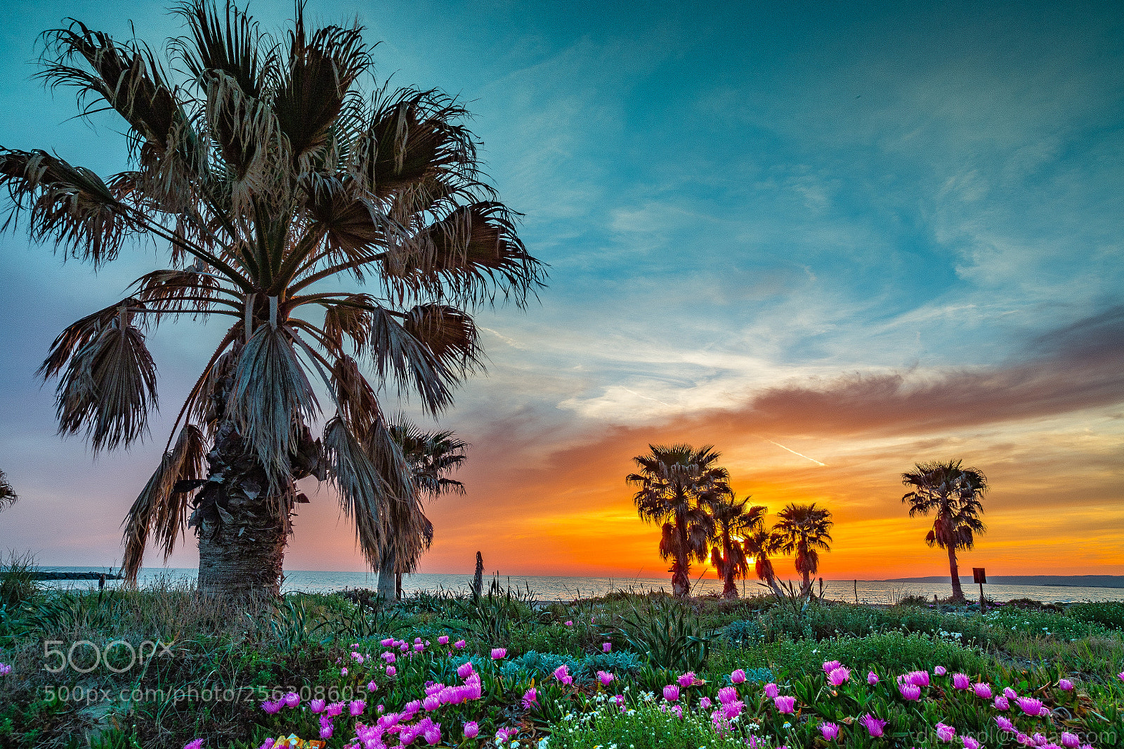 Canon EOS 6D sample photo. Torre flavia photography