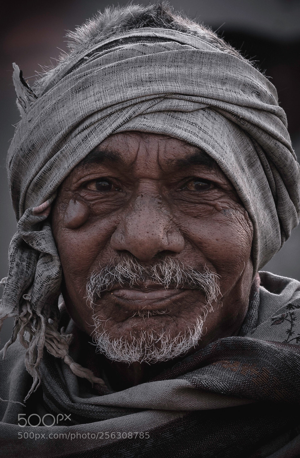 Nikon D750 sample photo. Old is gold photography