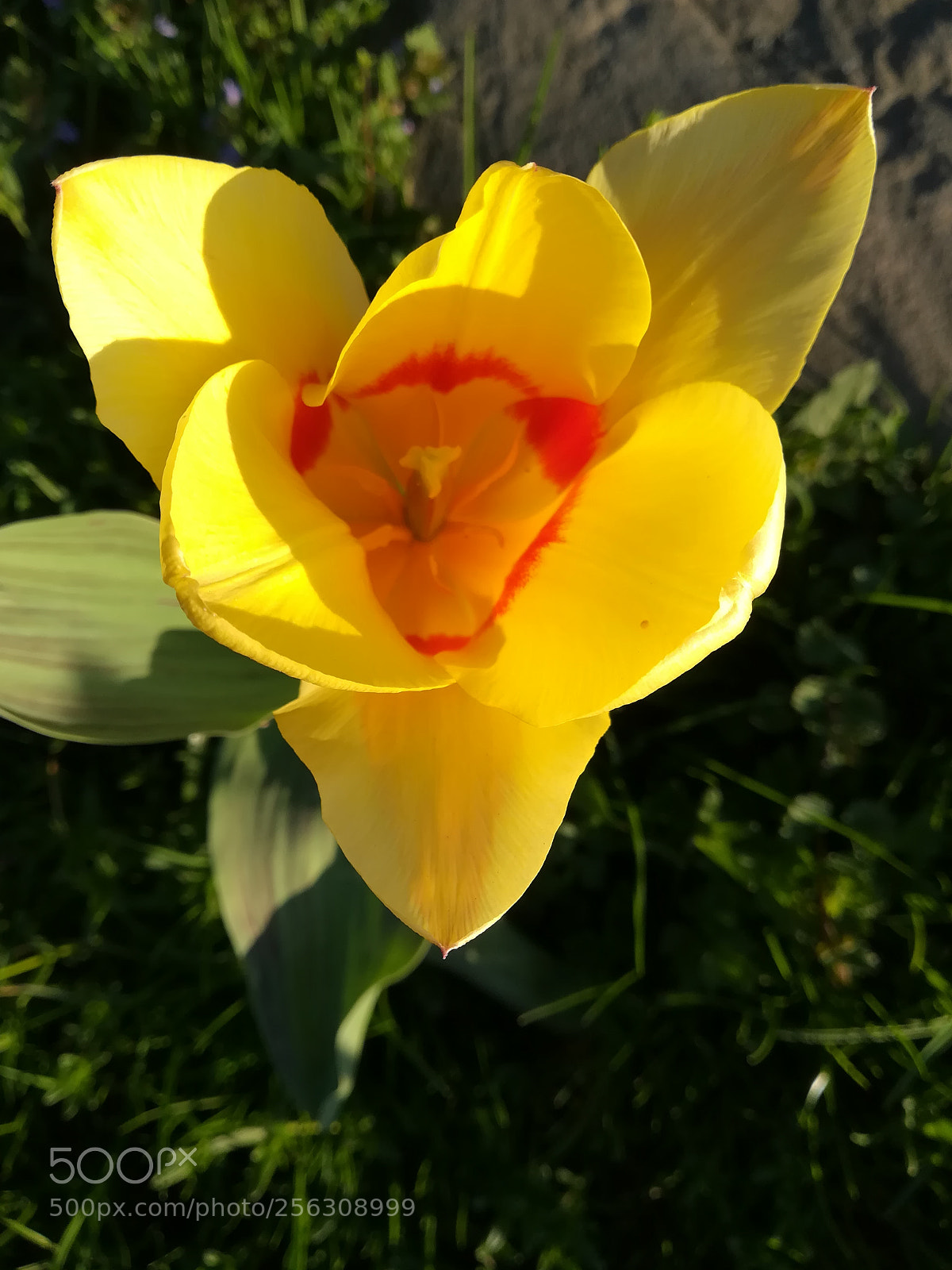 HUAWEI PRA-LX1 sample photo. Sdr photography