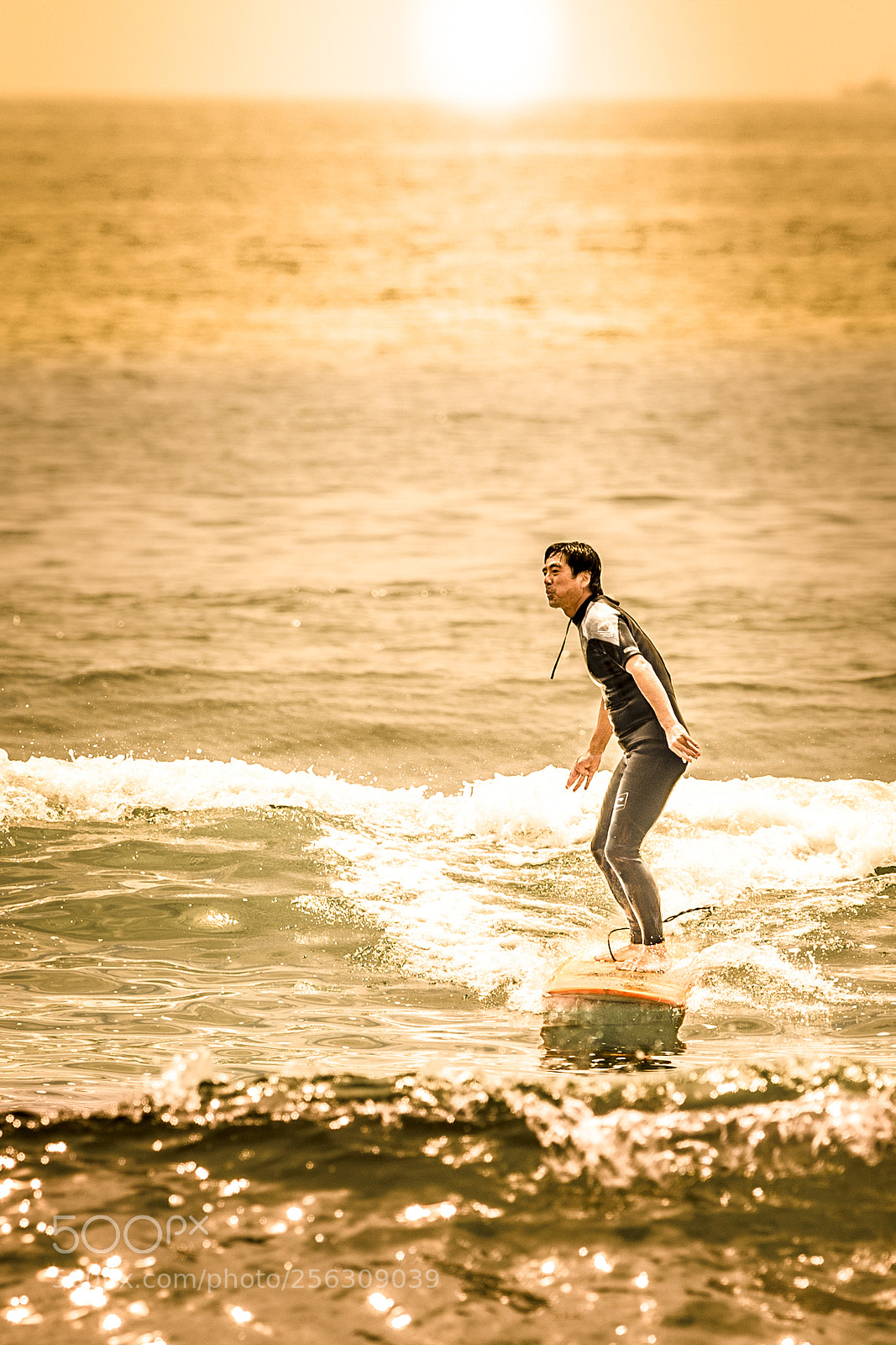 Nikon D5 sample photo. Surfin' japan 1 photography