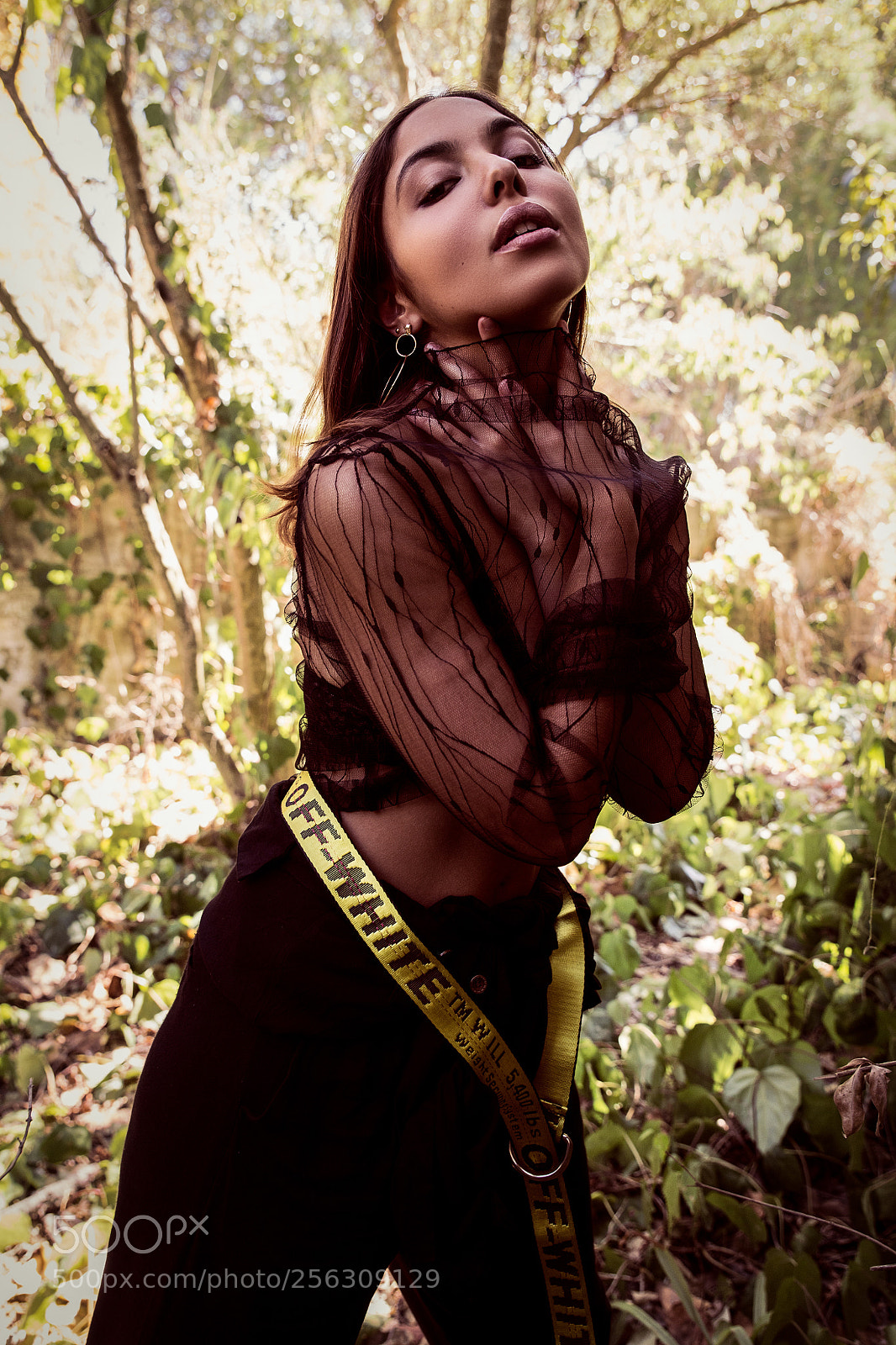 Canon EOS 6D sample photo. Untitled photography