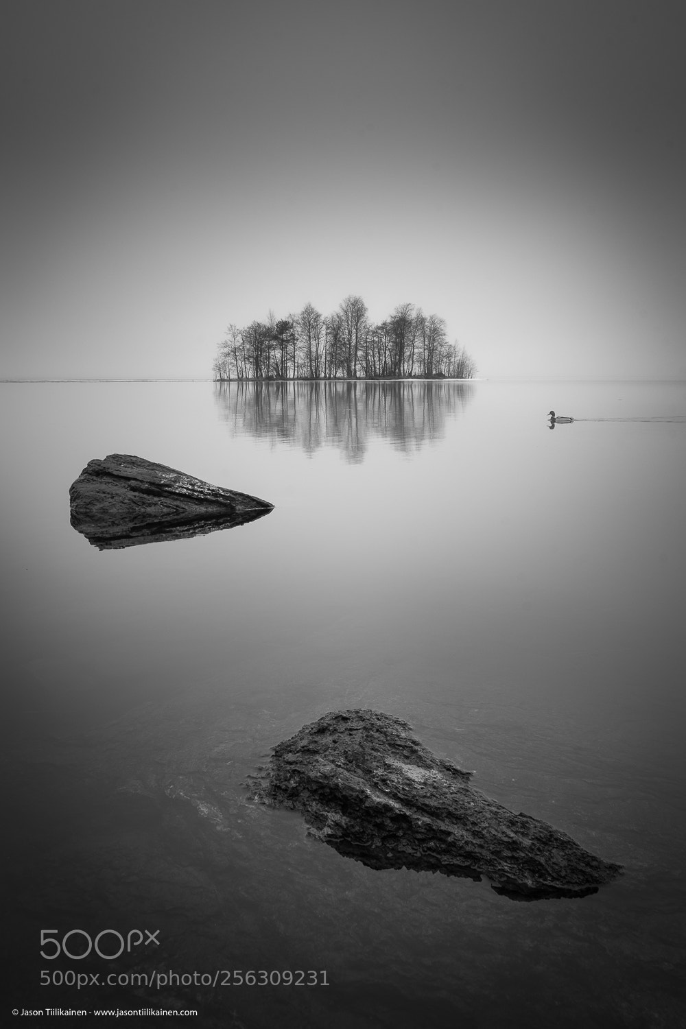 Nikon D7100 sample photo. Jason tiilikainen - misty photography