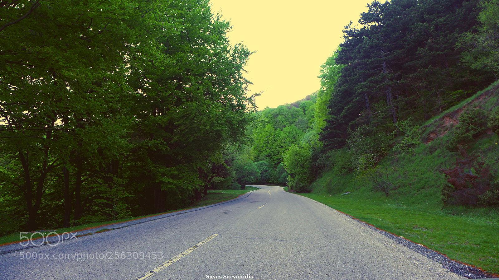 Panasonic Lumix DMC-LX7 sample photo. Forest road photography