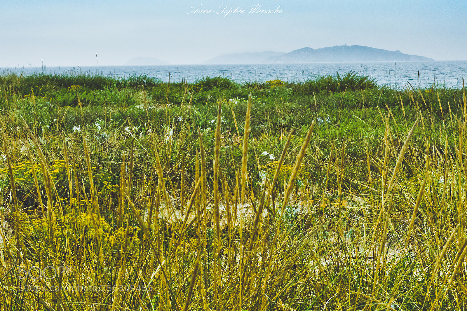 Canon EOS 700D (EOS Rebel T5i / EOS Kiss X7i) sample photo. A isla photography