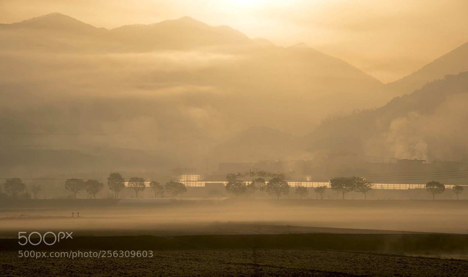 Nikon D810 sample photo. Twinkling morning photography