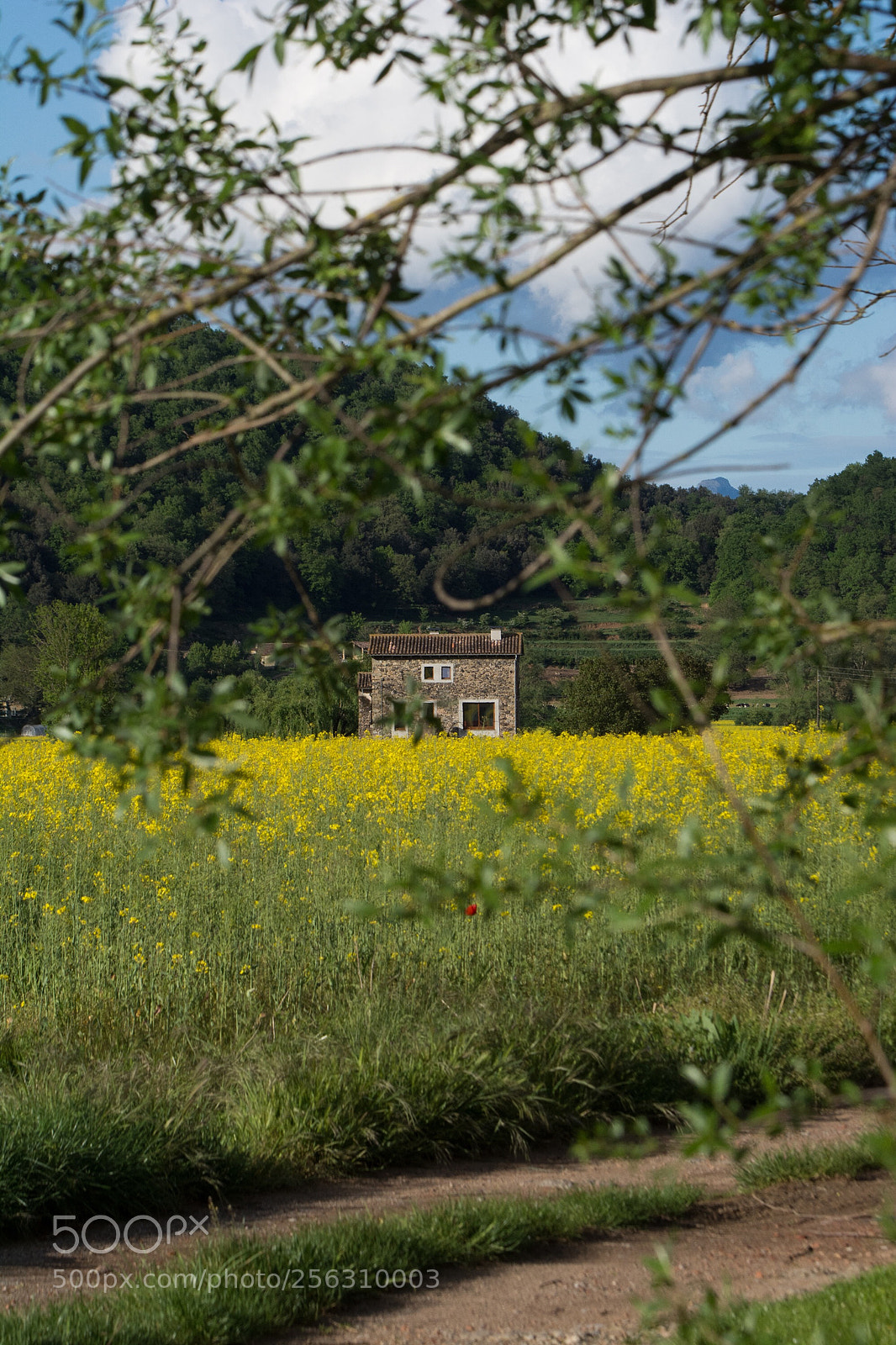 Nikon D7100 sample photo. Catalunya  photography