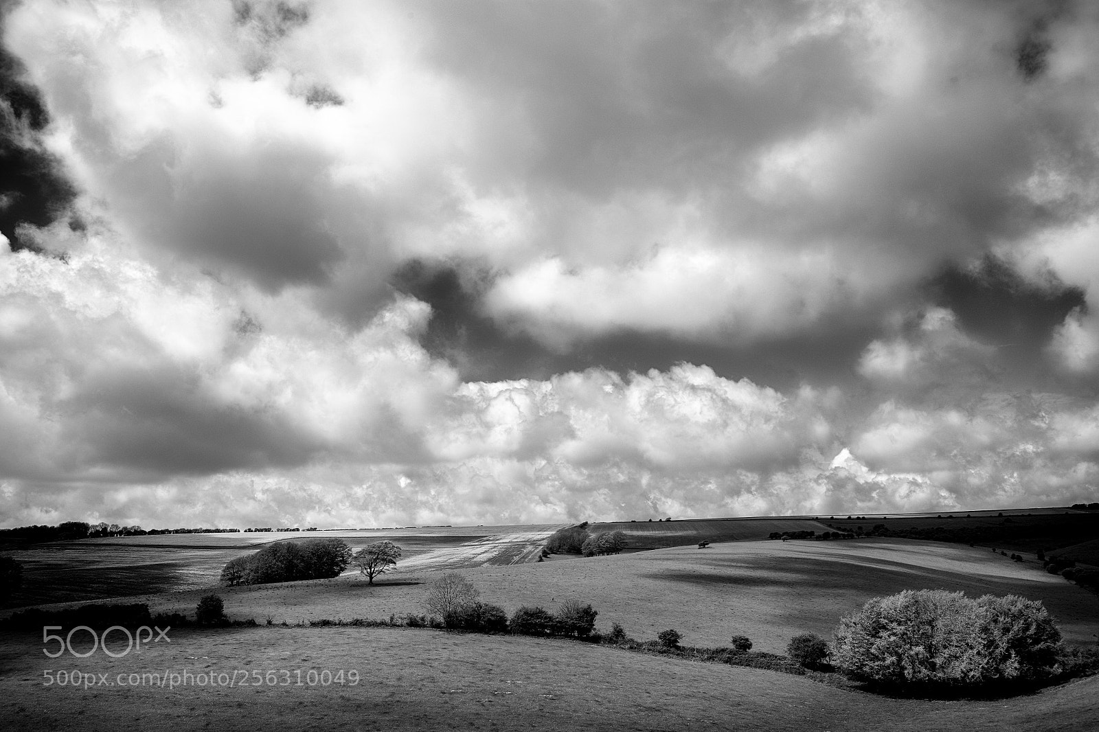 Fujifilm X-T1 sample photo. South downs ii photography