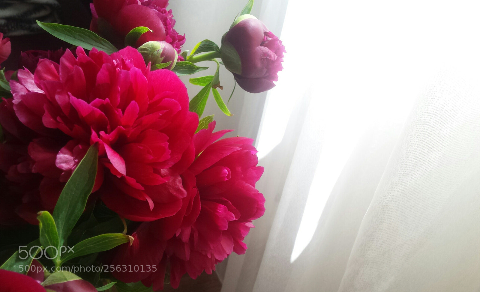 Samsung Galaxy S4 sample photo. Untitled photography
