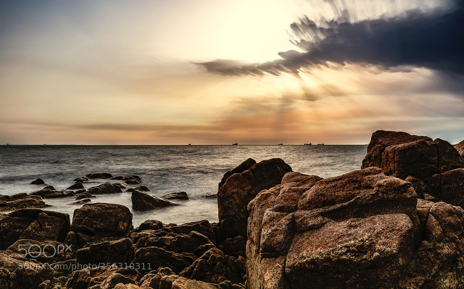 Canon EOS 5DS R sample photo. Sunlight  photography