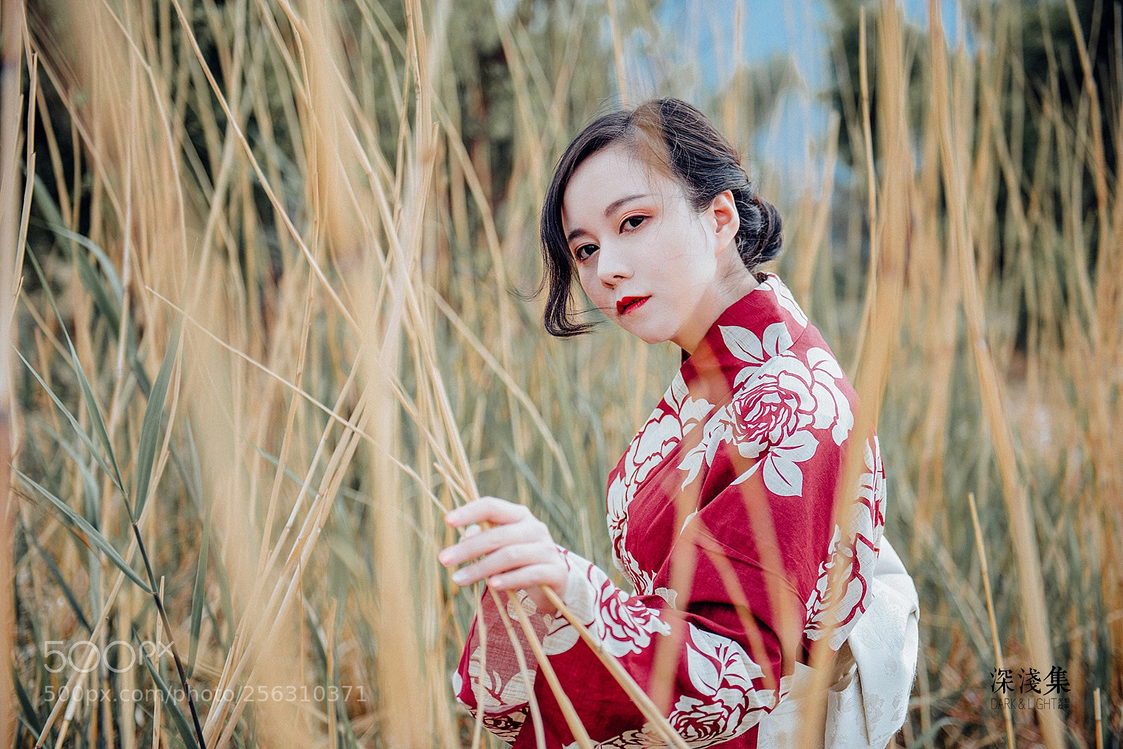 Nikon D750 sample photo. Untitled photography