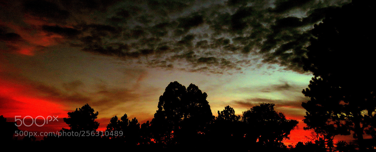 Canon PowerShot SX60 HS sample photo. Morning landscape .... photography