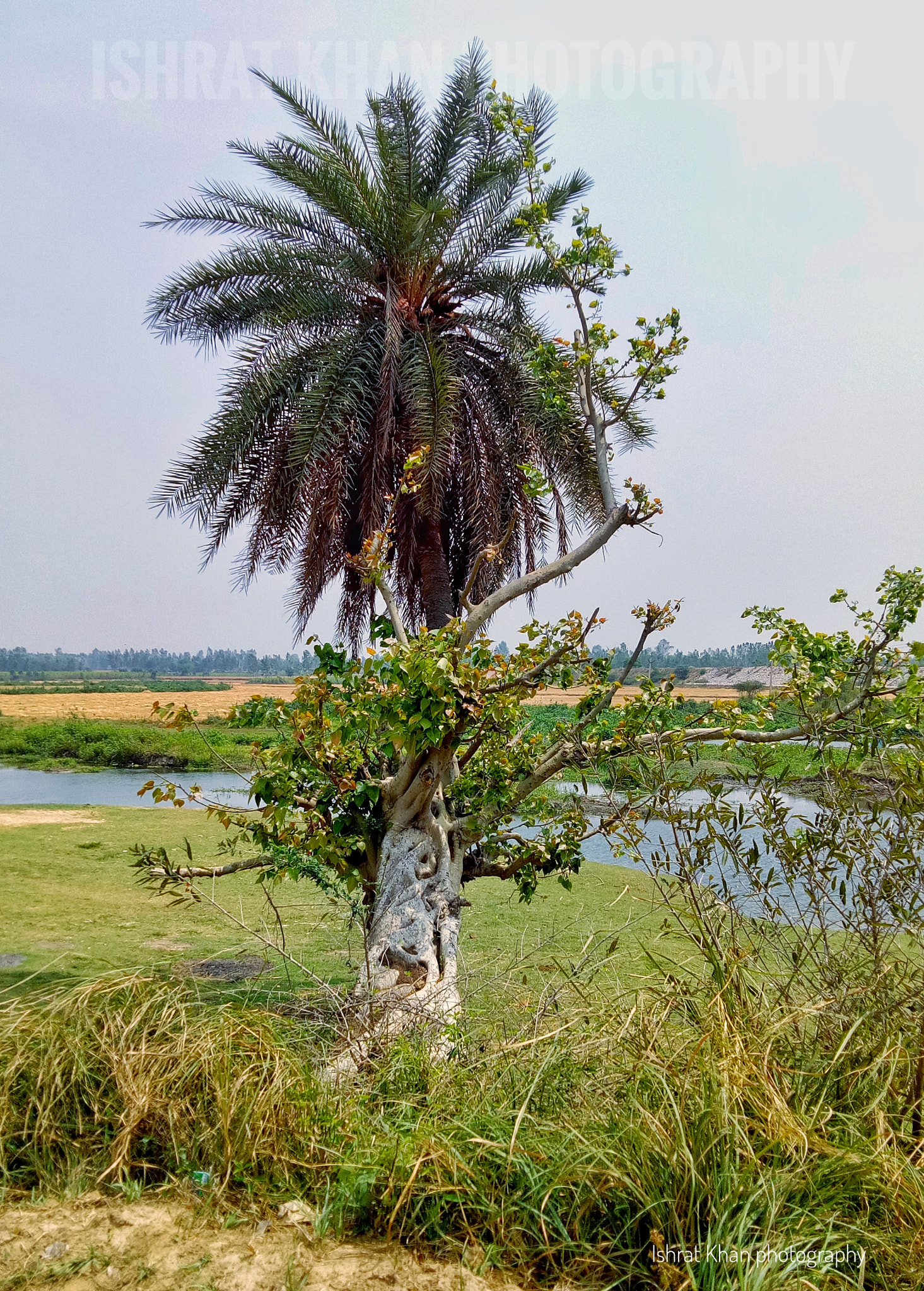 OPPO A1601 sample photo. Ganga jamuna photography