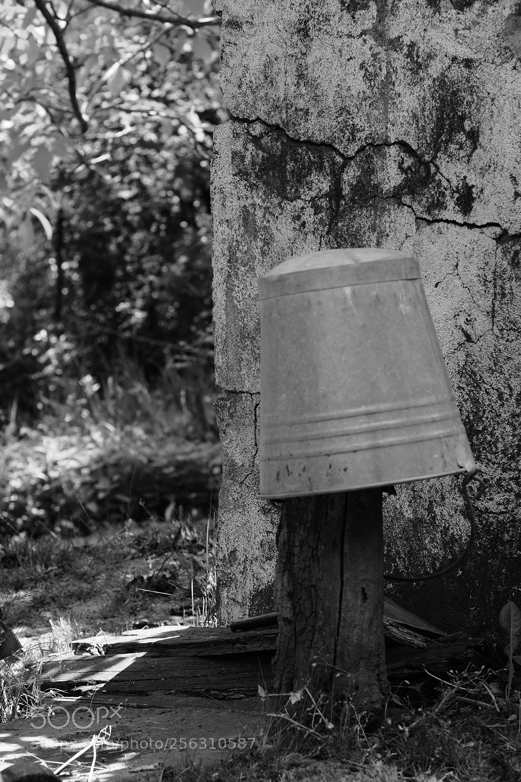 Olympus OM-D E-M10 II sample photo. Bucket photography