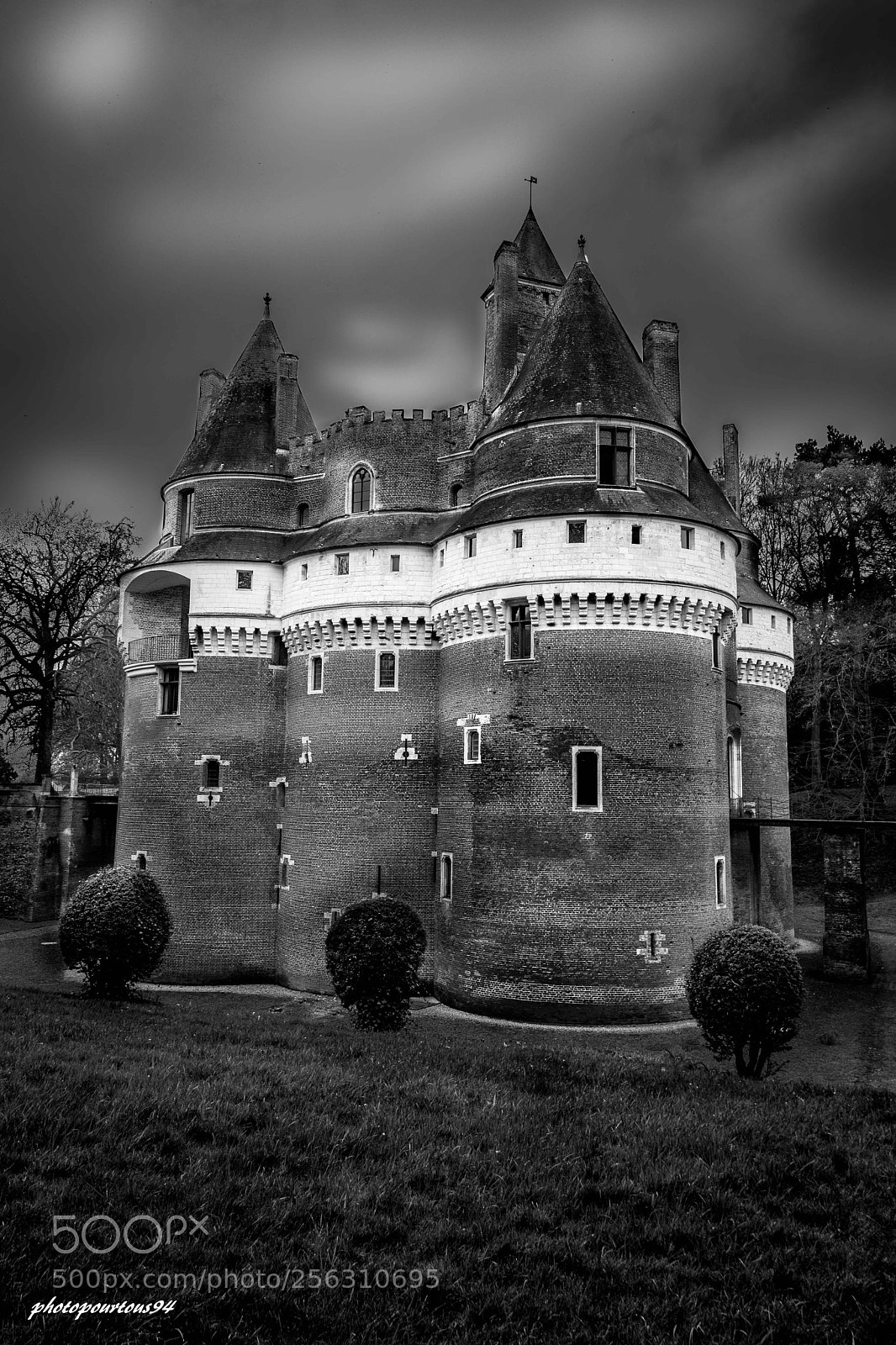 Nikon D7100 sample photo. Chateau de rambures photography