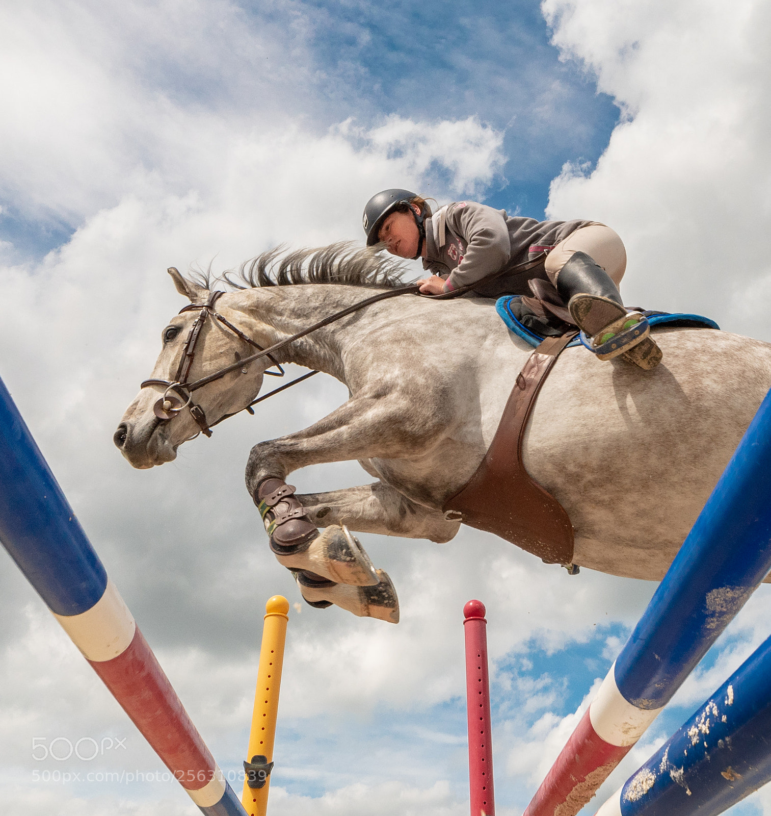 Nikon D750 sample photo. Valzando jump photography