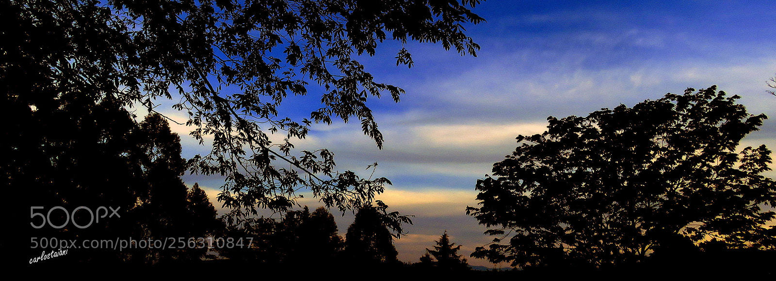 Canon PowerShot SX60 HS sample photo. Blue sky .... photography