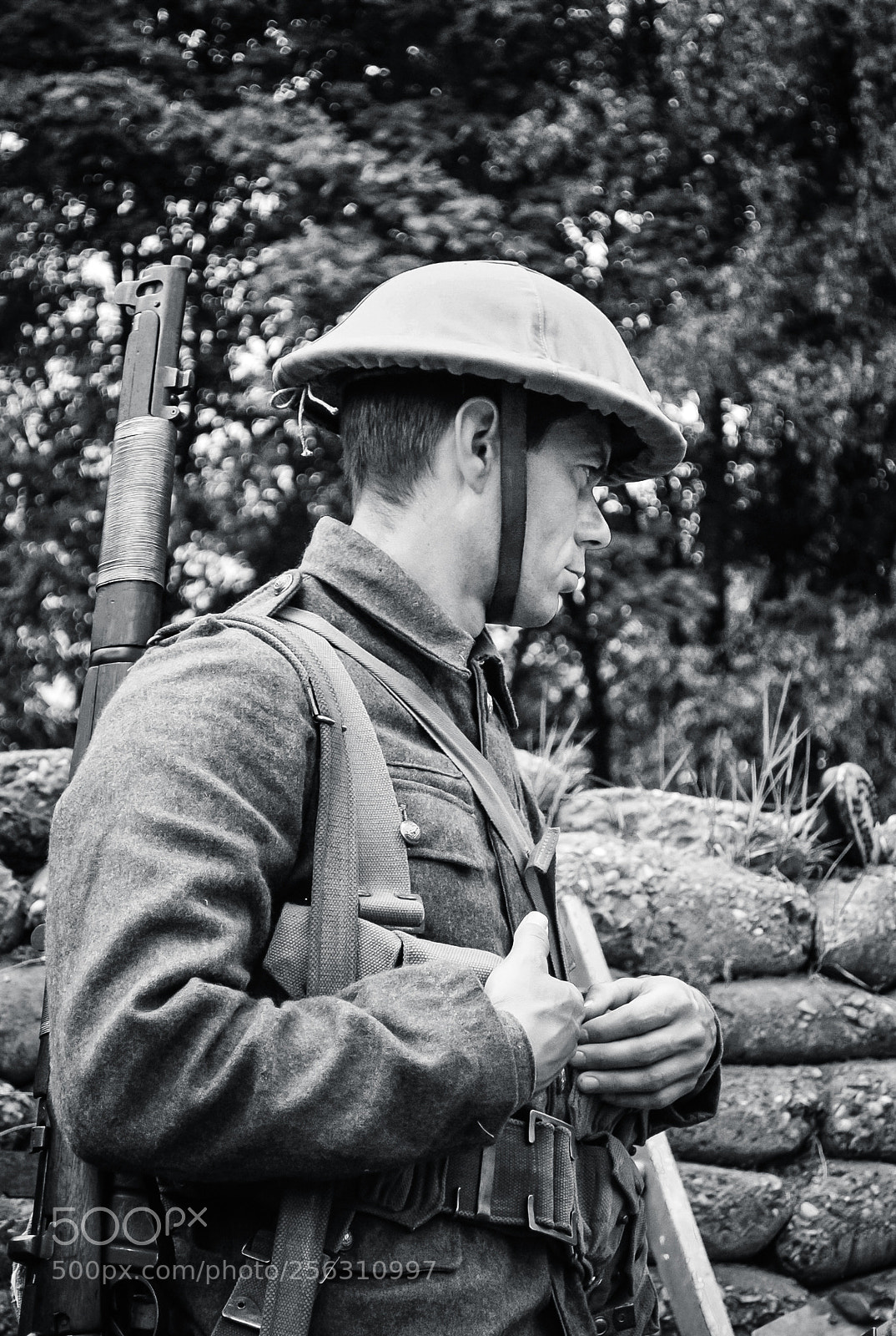 Nikon D60 sample photo. On sentry duty photography
