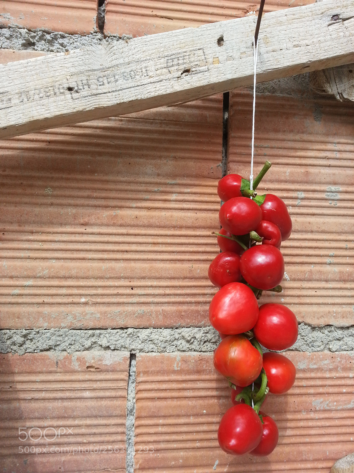 Samsung Galaxy S3 sample photo. Untitled photography
