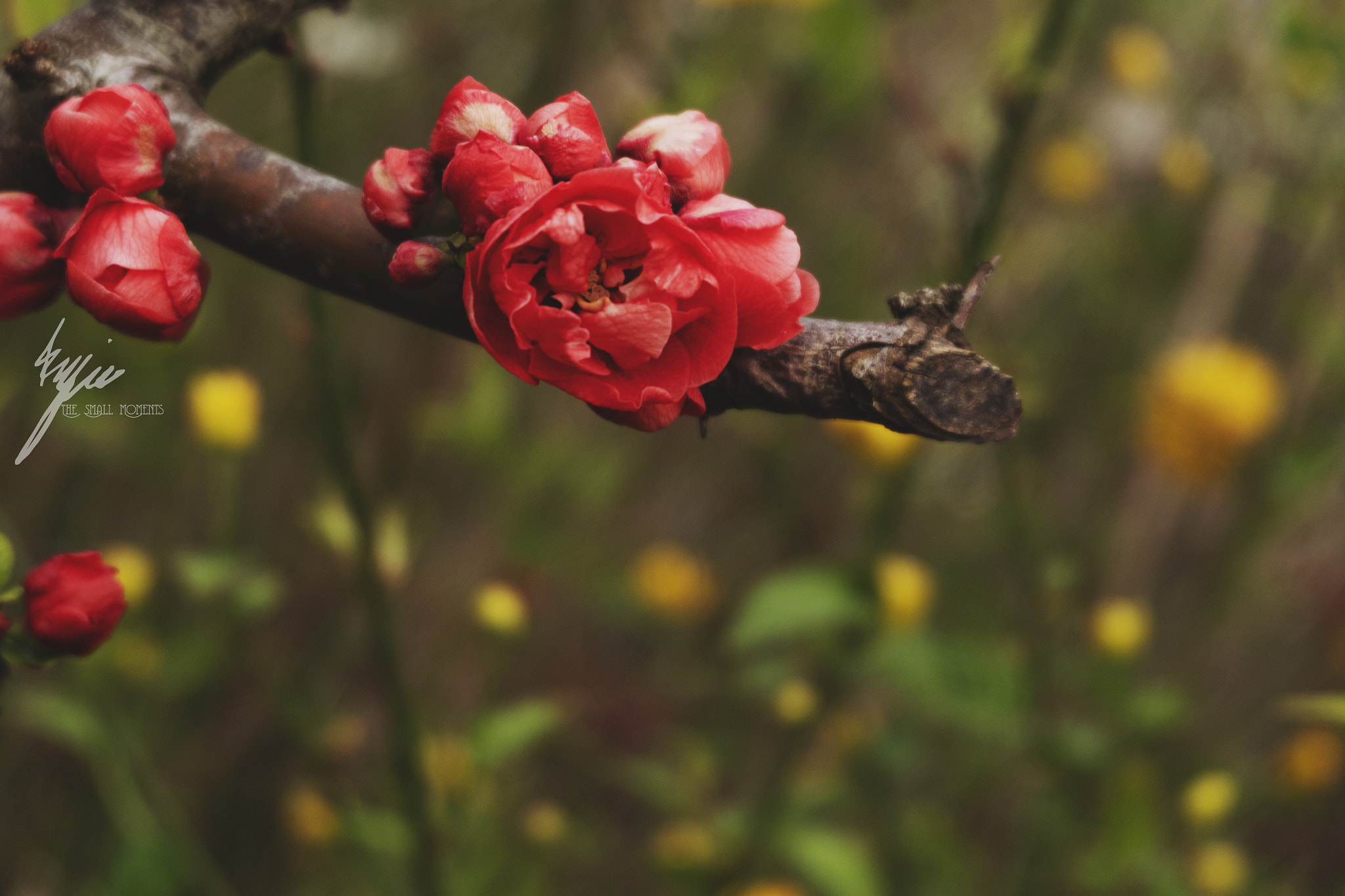 Fujifilm X-A10 sample photo. Looks like spring is here photography
