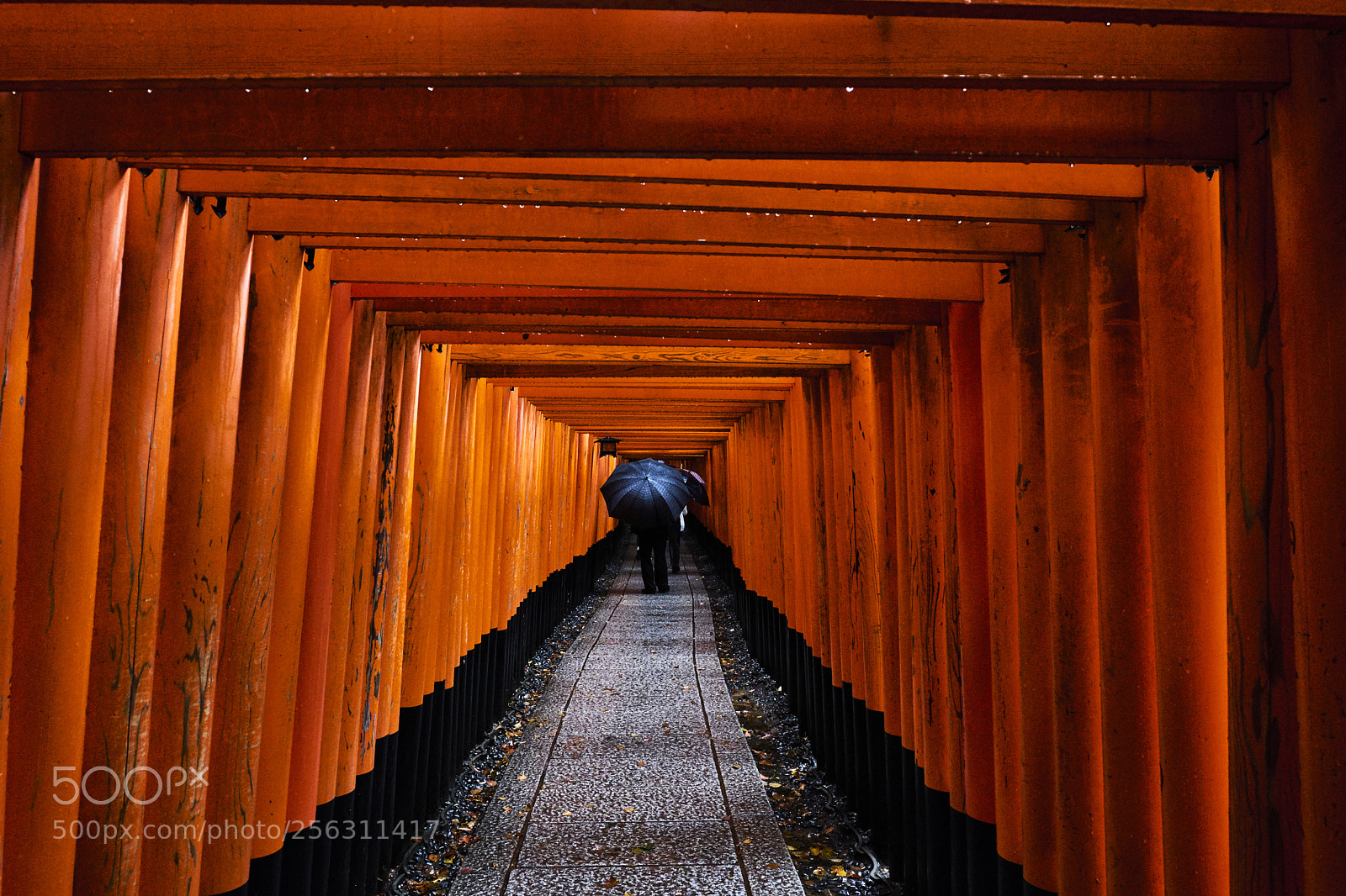 Fujifilm X-T20 sample photo. The umbrella photography