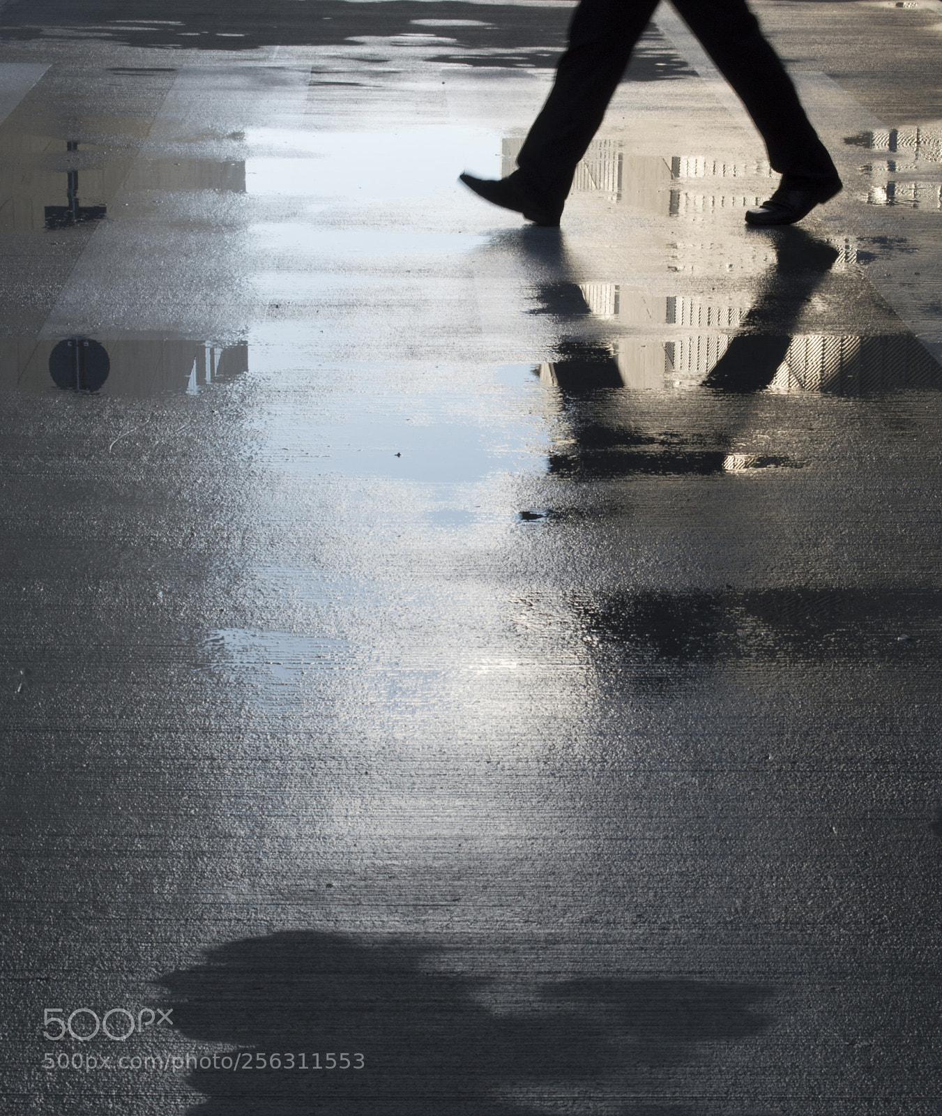 Nikon D3200 sample photo. Action photography