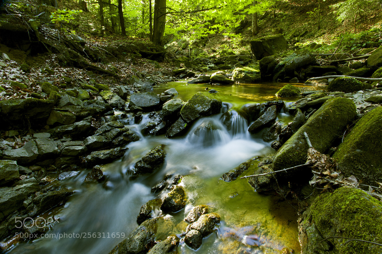 Canon EOS-1Ds Mark II sample photo. Beskid niski photography