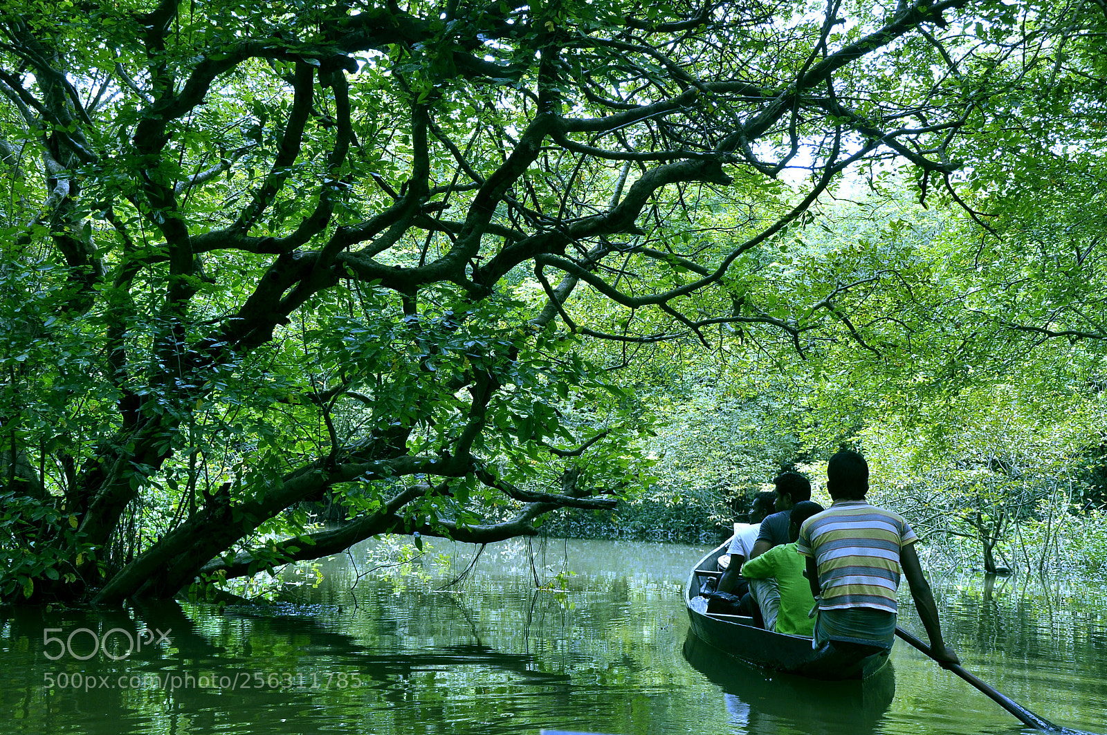 Nikon D90 sample photo. Beautiful bangladesh photography
