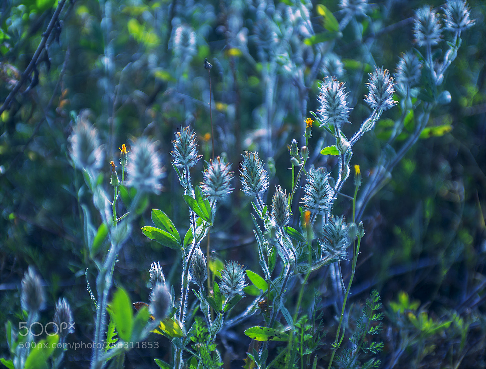 Nikon D600 sample photo. Twilight evening natural color photography