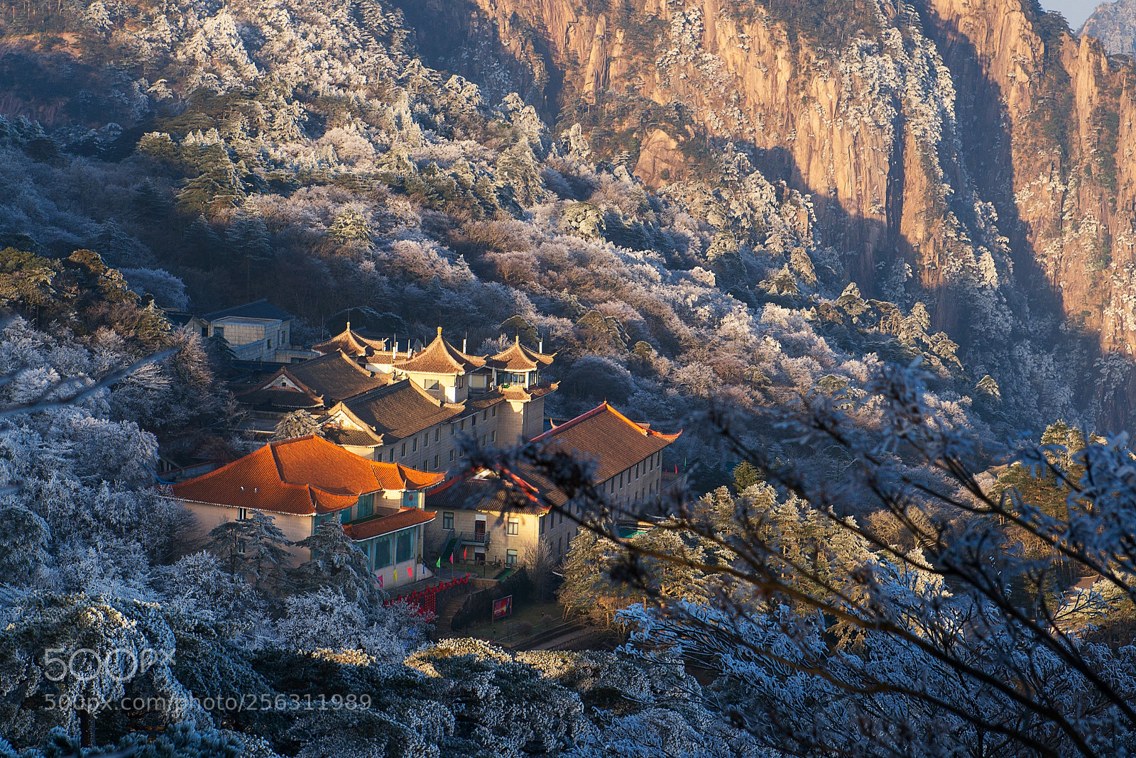 Nikon D800 sample photo. Huangshan in winter photography