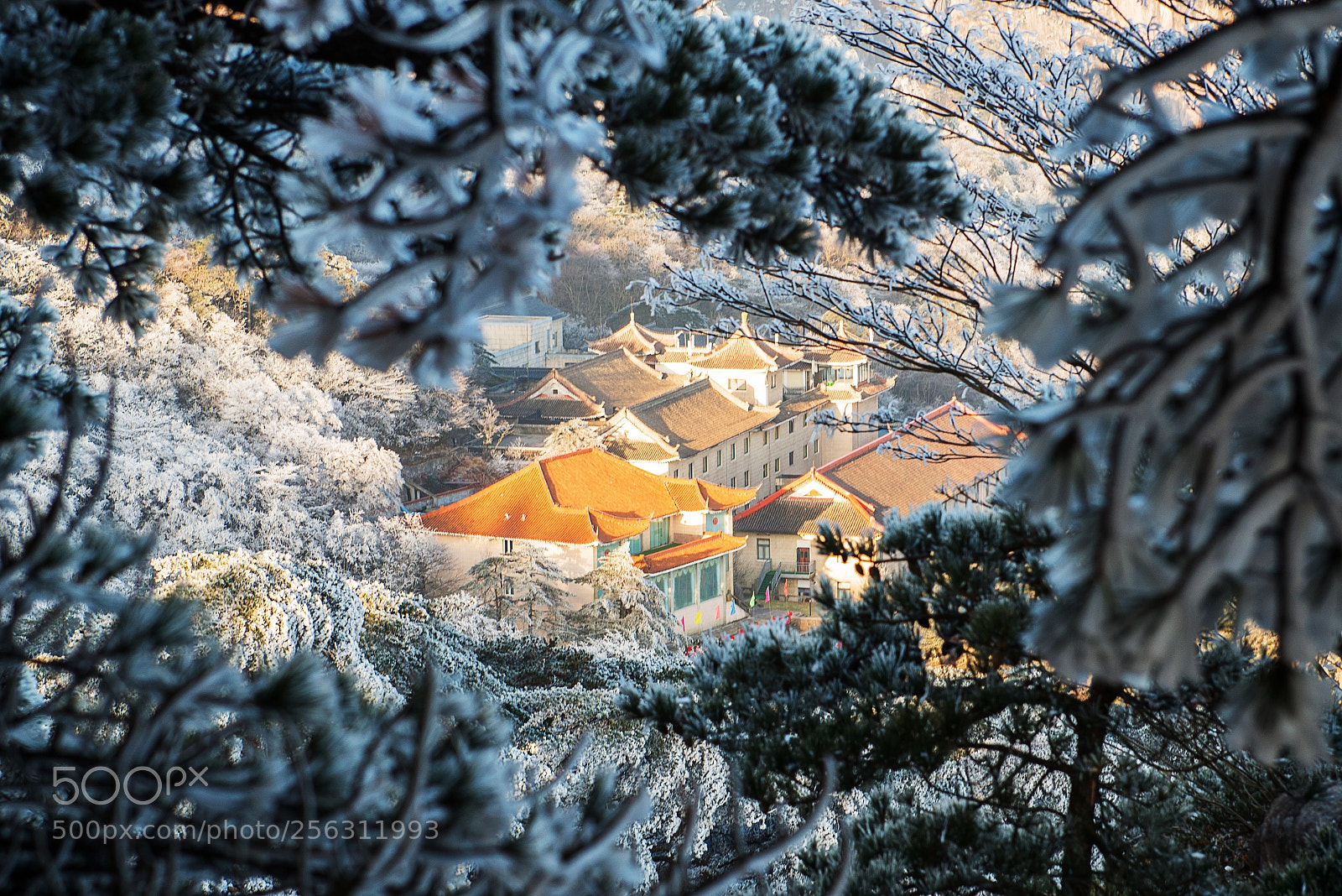 Nikon D800 sample photo. Huangshan mountain china photography