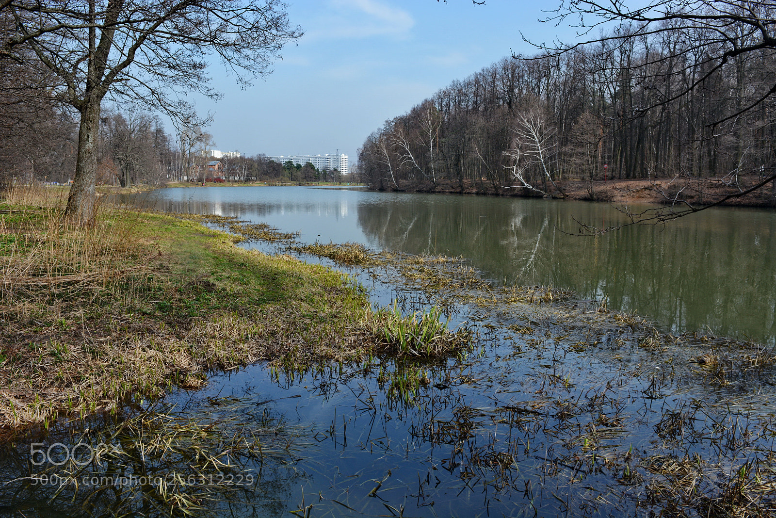 Nikon D5200 sample photo. Spring water. .. photography