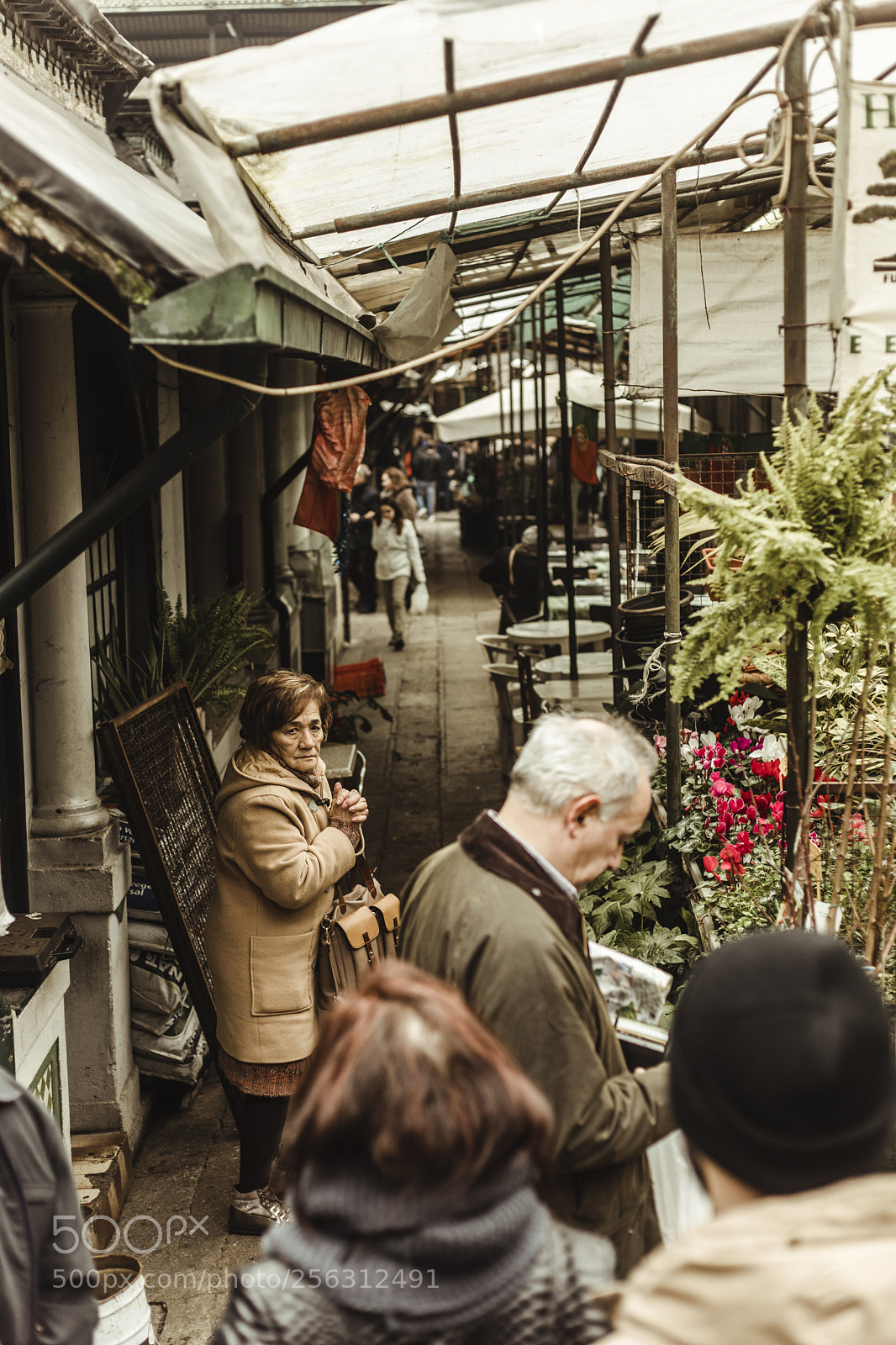 Canon EOS 5D Mark IV sample photo. Lost in porto photography