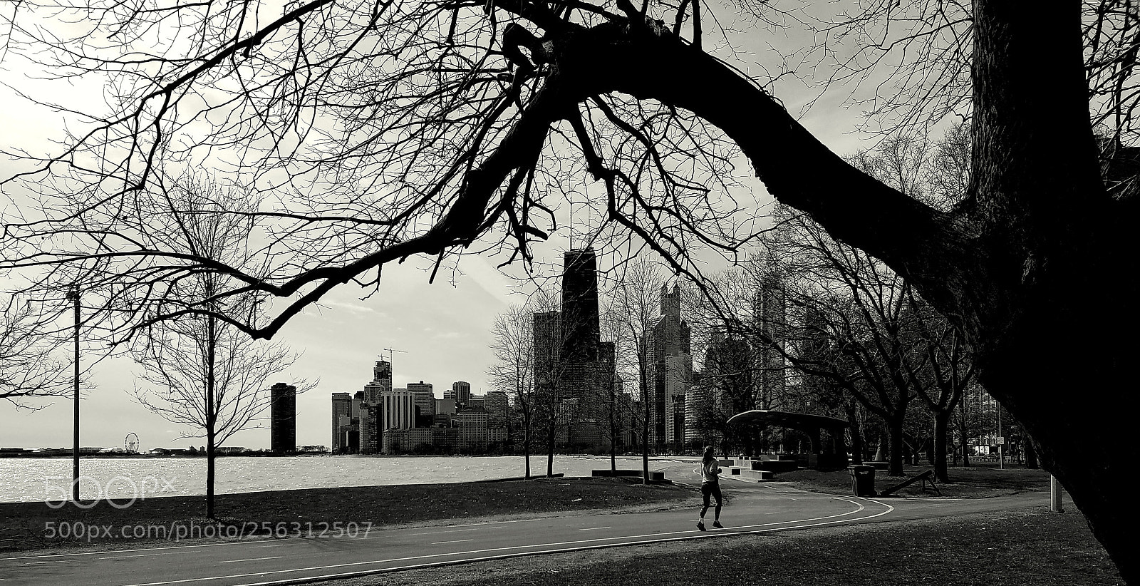 Samsung Galaxy S7 sample photo. Chicago lakefront photography