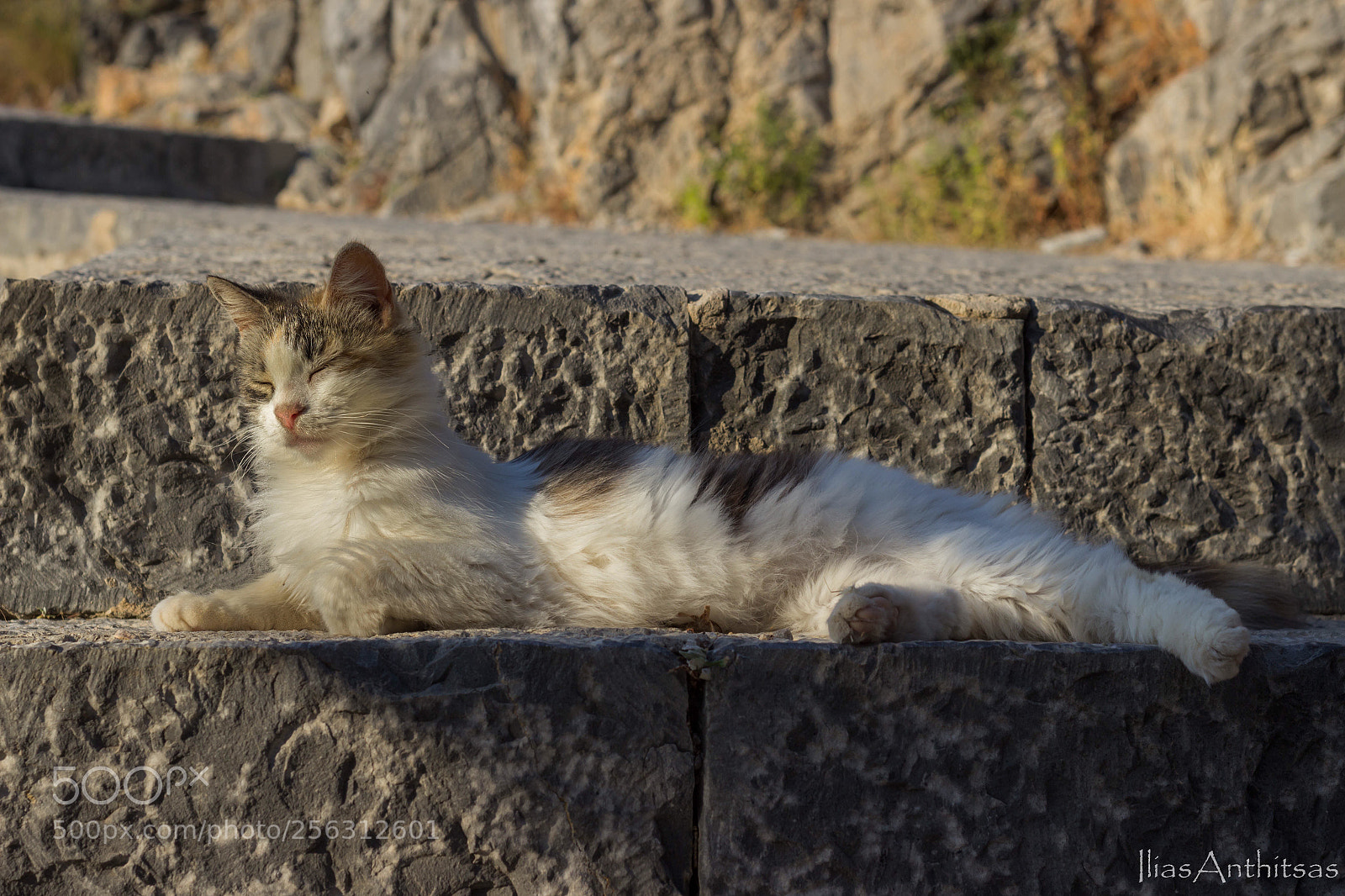 Canon EOS 600D (Rebel EOS T3i / EOS Kiss X5) sample photo. No stress photography