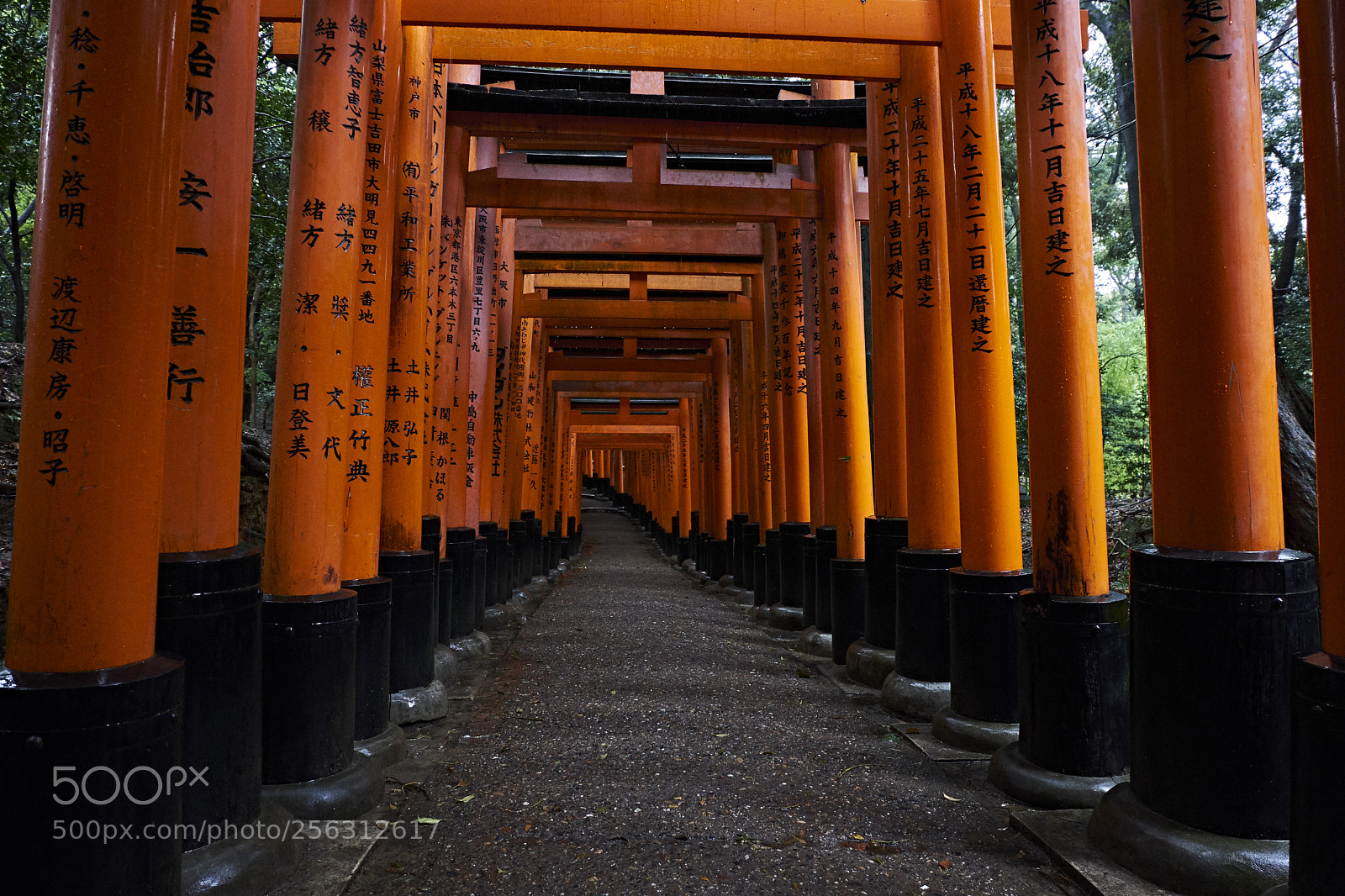 Fujifilm X-T20 sample photo. Under the rain photography