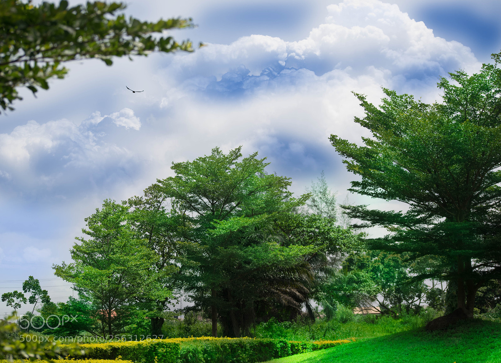 Nikon D3300 sample photo. Earth day photography