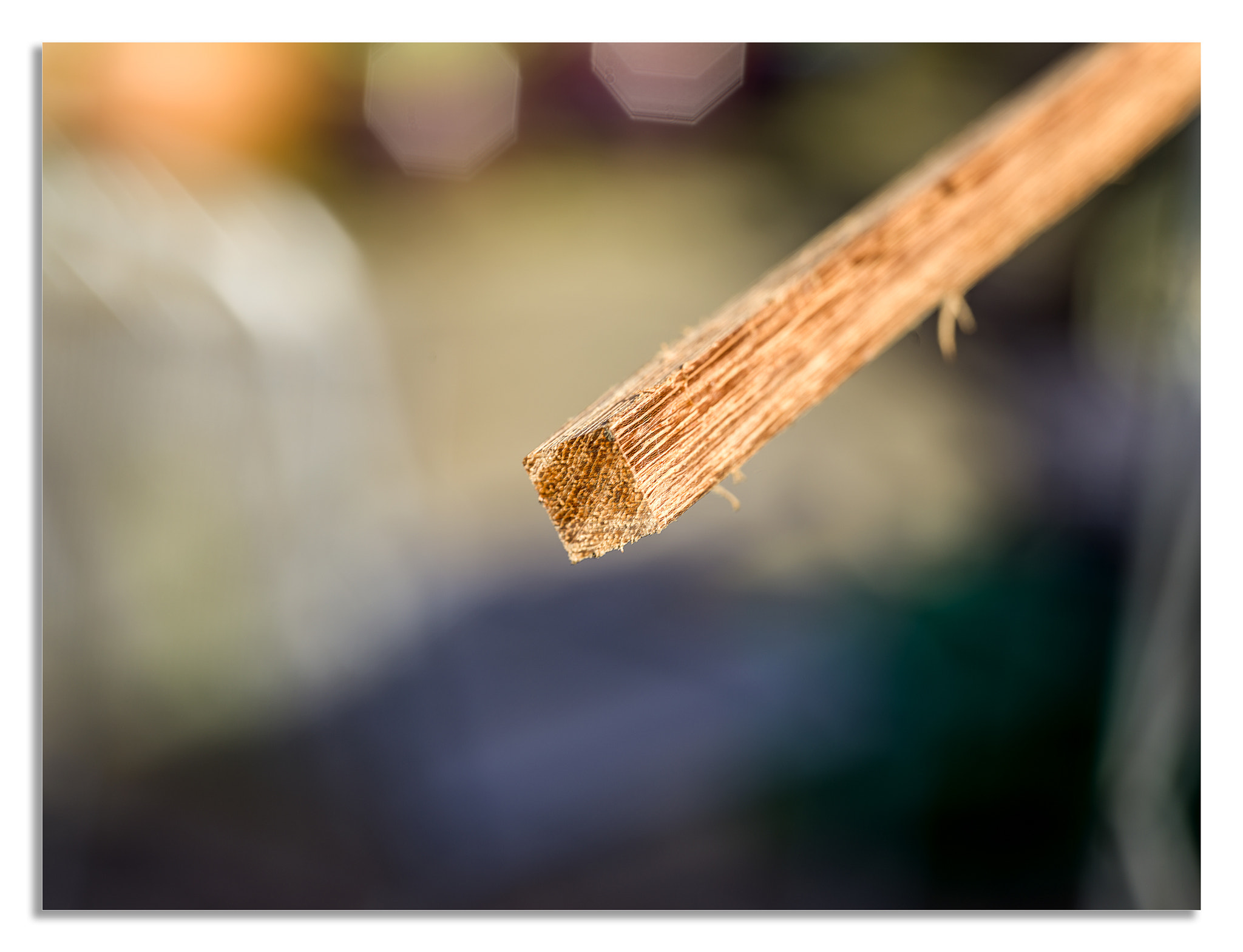 Hasselblad X1D-50c sample photo. Lens test2 b photography